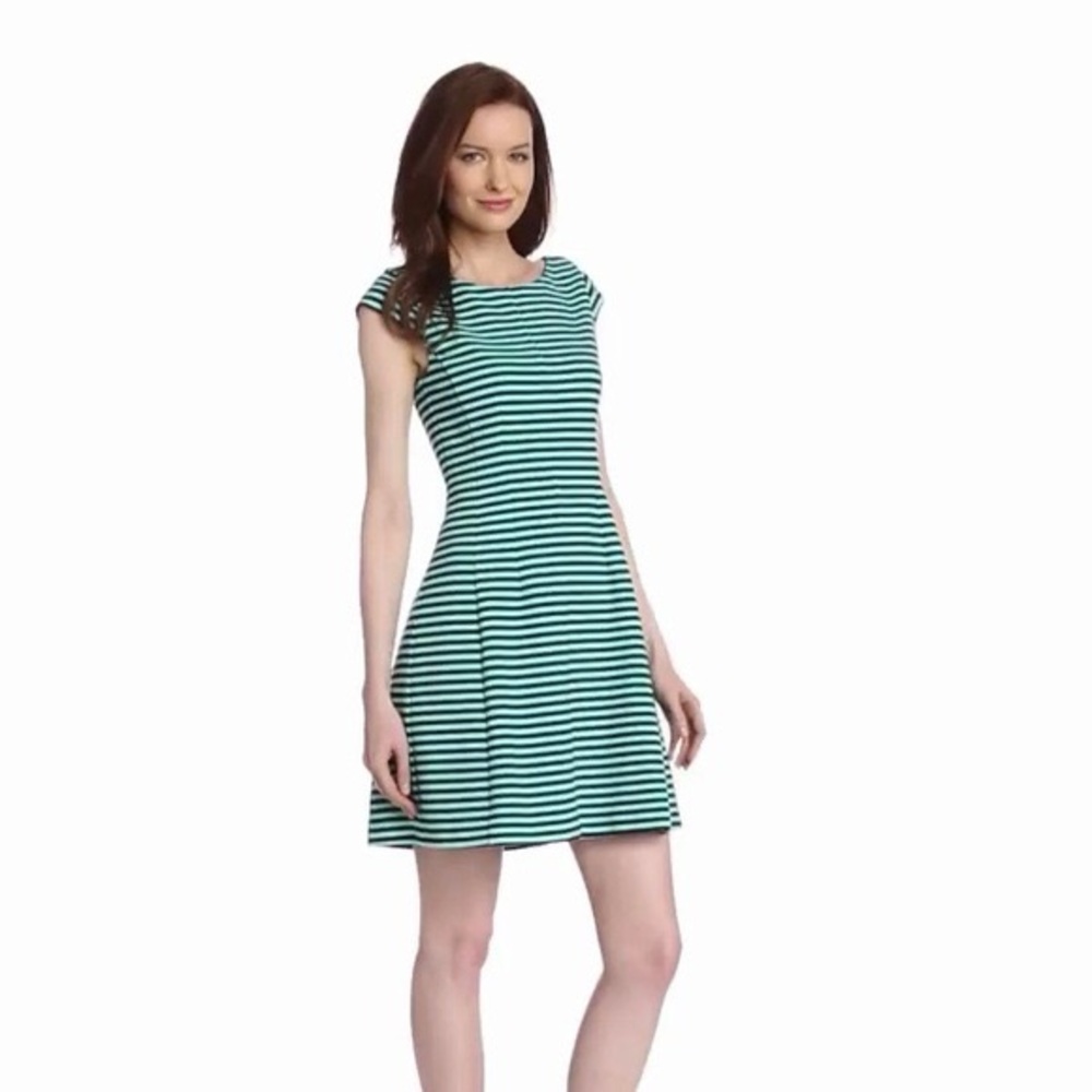 Lilly Pulitzer Brielle fit and flare striped dress size XS